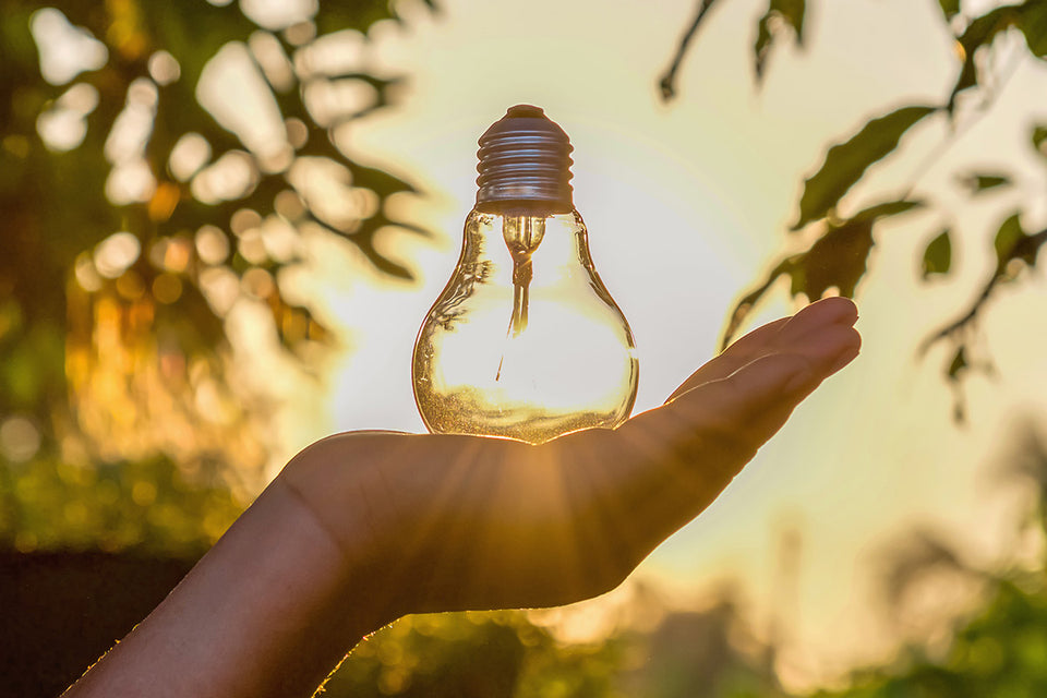 a hand holding a lightbulb in the sunset