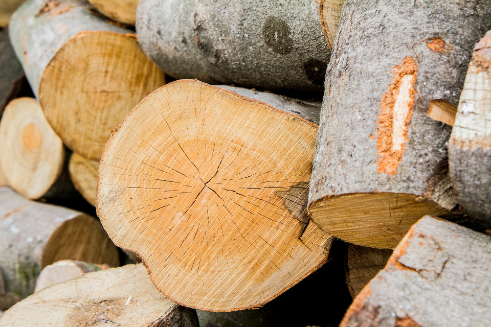 a stack of chopped beech wood