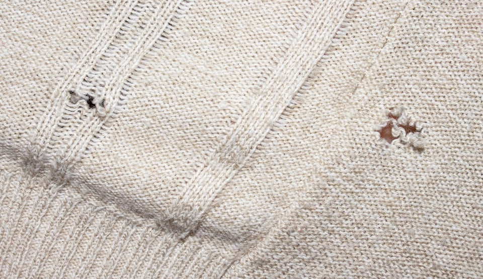 a close up of a woollen pullover showing the holes made by Clothes Moth Larvae