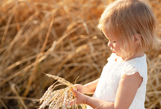 little blonde girl holding sheaf of wheat