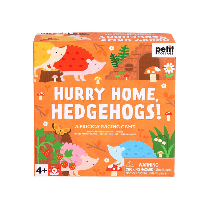 Book -HURRY HOME HEDGEHOGS: A PRICKLY RACING GAME