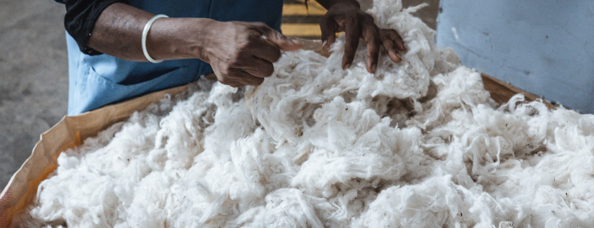 The organic cotton is collected and then stored before being spun into cotton to be used in the Hayden Hill clothing storage bags