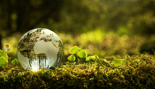 a beautiful glass globe of the earth sitting on moss and greenery