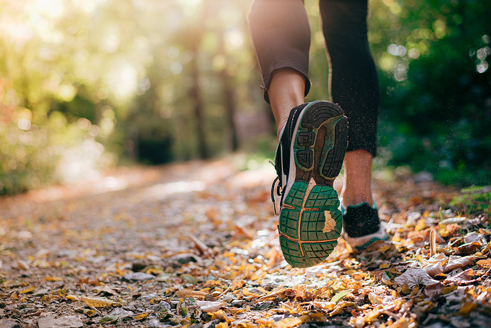 a close up of running shoes taking a jog on a leafy path