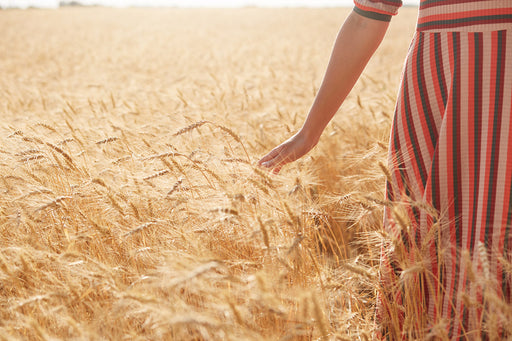 a cropped image of a woman wearing a striped dress walking in a wheat field