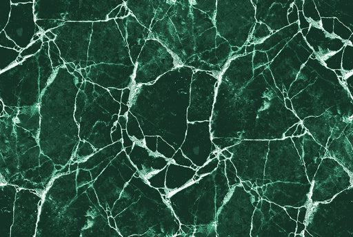 a dark green marble floor tile