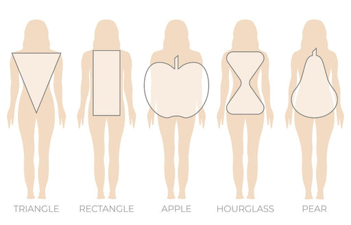 a diagram of the different body shapes
