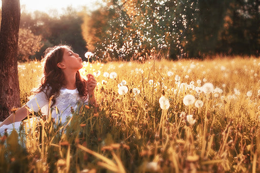 a girl blowing dandelion seeds into the air