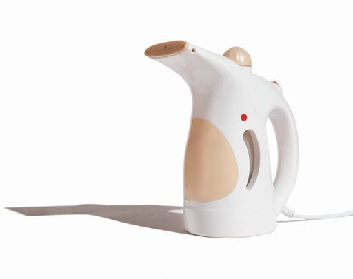 a handheld electrical steamer