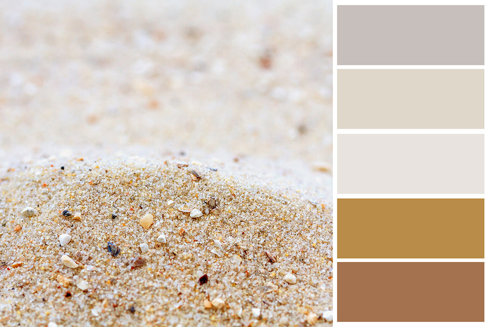a palette of sand colors
