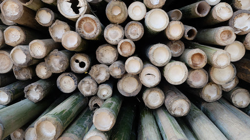 a pile of bamboo