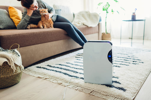 a woman relaxing on her couch with her cat while using a room humidifier