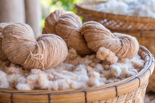 natural cotton threads on a bed of cotton
