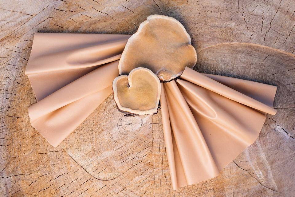 vegan leather made from mushroom mycelium displayed on tree bark
